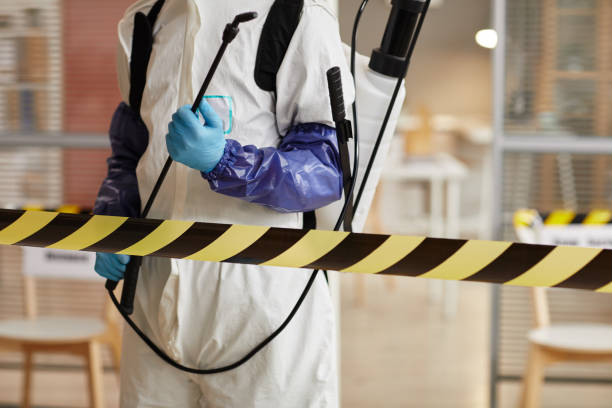 Professional Hoarding Cleanup technician working in Milford, MI